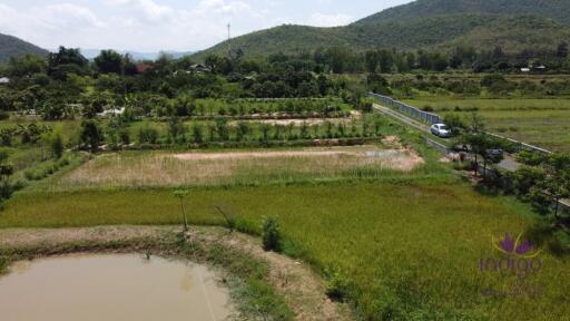 Wonderful established self-sufficient farm for sale with 2 well-built houses in the countryside in Lamphun