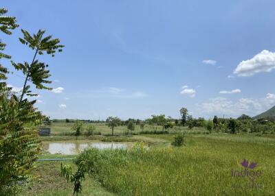 Wonderful established self-sufficient farm for sale with 2 well-built houses in the countryside in Lamphun