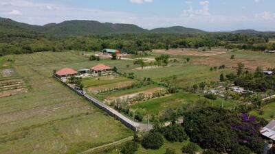 Wonderful established self-sufficient farm for sale with 2 well-built houses in the countryside in Lamphun