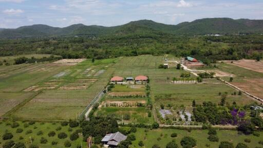 Wonderful established self-sufficient farm for sale with 2 well-built houses in the countryside in Lamphun