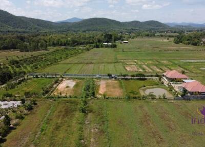 Wonderful established self-sufficient farm for sale with 2 well-built houses in the countryside in Lamphun