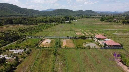 Wonderful established self-sufficient farm for sale with 2 well-built houses in the countryside in Lamphun