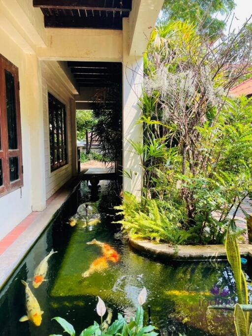 House for sale behind Umong temple near CMU Muang, Chiangmai