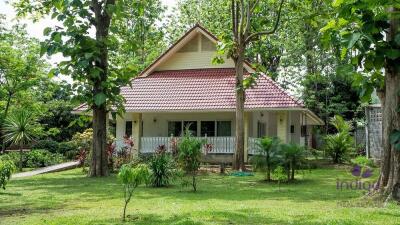 Wonderful Countryside Property For Sale In Doi Saket