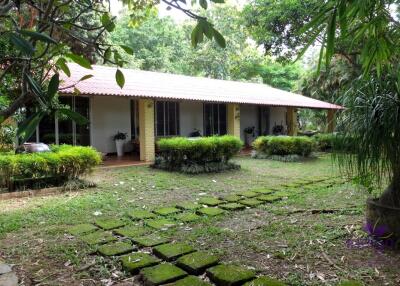 Wonderful Countryside Property For Sale In Doi Saket