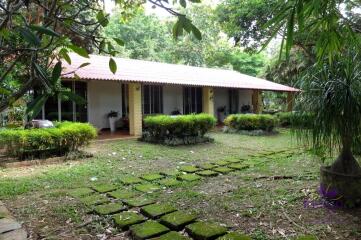 Wonderful Countryside Property For Sale In Doi Saket