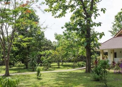 Wonderful Countryside Property For Sale In Doi Saket