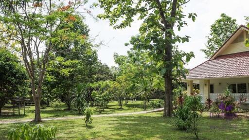 Wonderful Countryside Property For Sale In Doi Saket