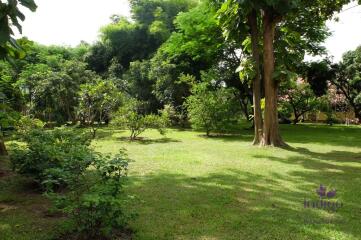 Wonderful Countryside Property For Sale In Doi Saket