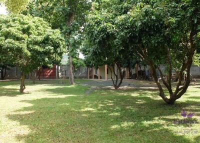 Wonderful Countryside Property For Sale In Doi Saket