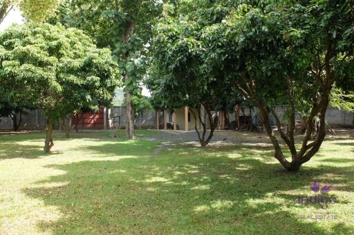 Wonderful Countryside Property For Sale In Doi Saket