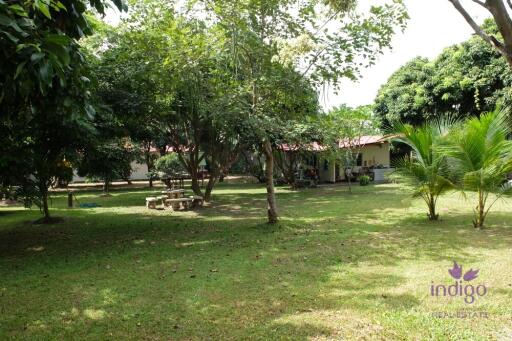 Wonderful Countryside Property For Sale In Doi Saket