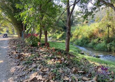 Beautiful plot of land in Mae On, Chiang Mai. 600 sqw A perfect place for retirement or for your holiday home in Chiang Mai.