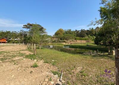 Beautiful plot of land in Mae On, Chiang Mai. 600 sqw A perfect place for retirement or for your holiday home in Chiang Mai.