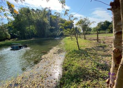 Beautiful plot of land in Mae On, Chiang Mai. 600 sqw A perfect place for retirement or for your holiday home in Chiang Mai.