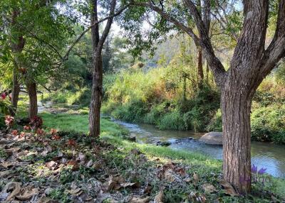 Beautiful plot of land in Mae On, Chiang Mai. 600 sqw A perfect place for retirement or for your holiday home in Chiang Mai.