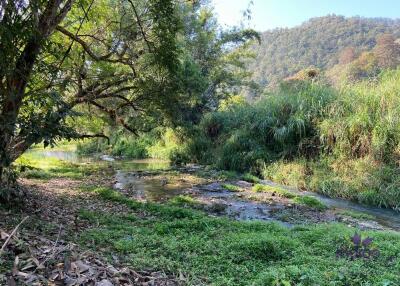 Beautiful plot of land in Mae On, Chiang Mai. 600 sqw A perfect place for retirement or for your holiday home in Chiang Mai.