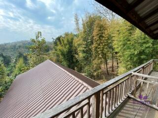 Urgent Sale! 7 M Baht Land 4 Rai 2 Ngan 18 Sqw in Mae Rim Chiangmai