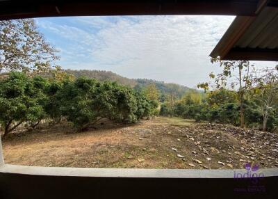 Urgent Sale! 7 M Baht Land 4 Rai 2 Ngan 18 Sqw in Mae Rim Chiangmai