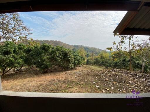 Urgent Sale! 7 M Baht Land 4 Rai 2 Ngan 18 Sqw in Mae Rim Chiangmai