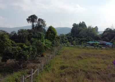 Land for sale 200 Sqw at Huay Sai , Sankamphaeng Chiangmai