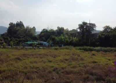 Land for sale 200 Sqw at Huay Sai , Sankamphaeng Chiangmai