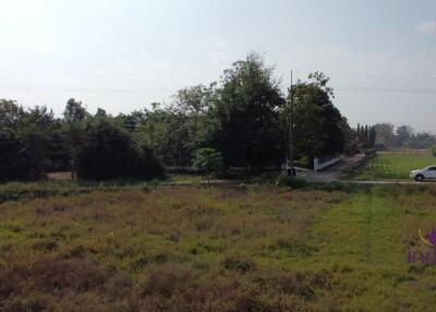 Land for sale 200 Sqw at Huay Sai , Sankamphaeng Chiangmai