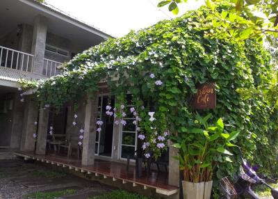 House for sale 6 bedroom with Coffe shop Suthep Muang Chiangmai