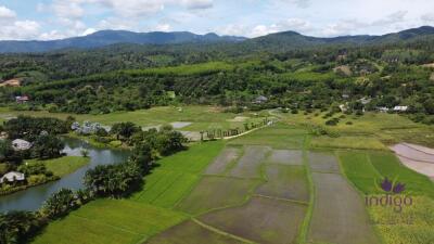 Beautiful plots of rice field land for sale in Saluang, Mae Rim