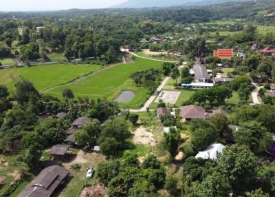 Beautiful plots of rice field land for sale in Saluang, Mae Rim