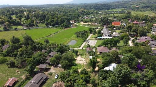 Beautiful plots of rice field land for sale in Saluang, Mae Rim