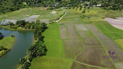 Beautiful plots of rice field land for sale in Saluang, Mae Rim