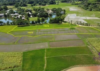 Beautiful plots of rice field land for sale in Saluang, Mae Rim