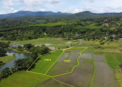 Beautiful plots of rice field land for sale in Saluang, Mae Rim