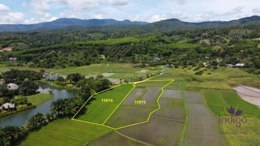 Beautiful plots of rice field land for sale in Saluang, Mae Rim