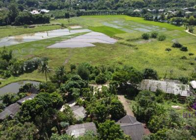 Beautiful plots of rice field land for sale in Saluang, Mae Rim