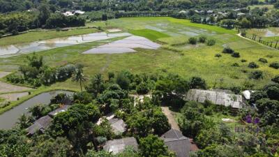 Beautiful plots of rice field land for sale in Saluang, Mae Rim