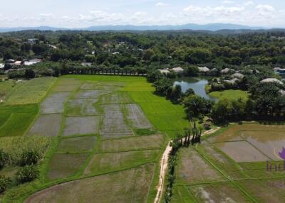 Beautiful plots of rice field land for sale in Saluang, Mae Rim