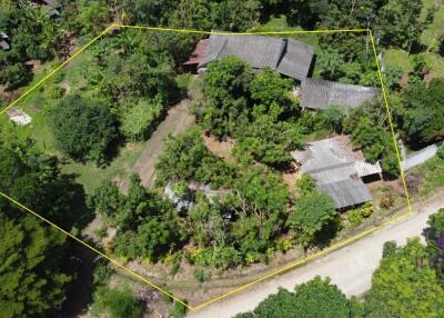 Lovely sloping plot on the side of a hill overlooking rice fields. Saluang, Mae Rim.