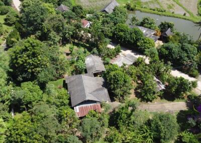 Lovely sloping plot on the side of a hill overlooking rice fields. Saluang, Mae Rim.