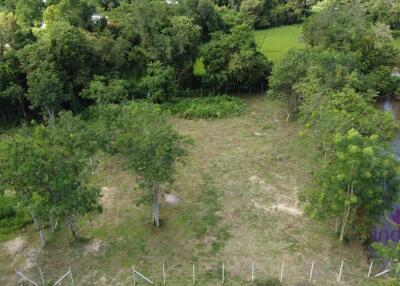 Waterfront Land for sale 387 Sqw Doisaket Chiangmai