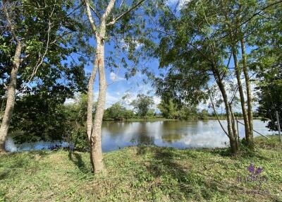 Waterfront Land for sale 387 Sqw Doisaket Chiangmai