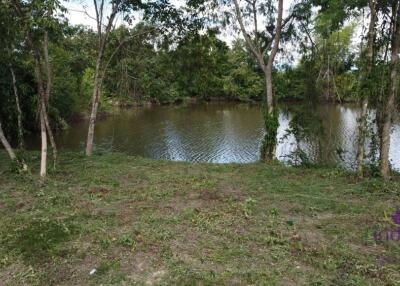 Waterfront Land for sale 387 Sqw Doisaket Chiangmai