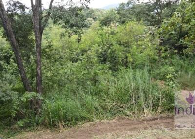 Land 12 Rai For Sale at Luang Nuea Doisaket Chiang Mai