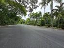 Tree-lined road with palm trees