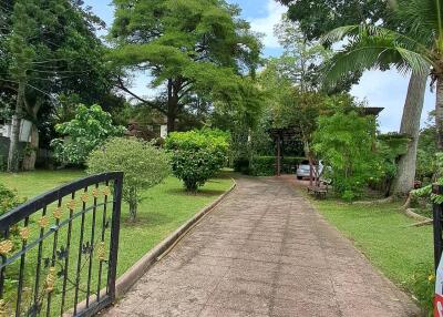 Paved driveway with lush greenery on both sides