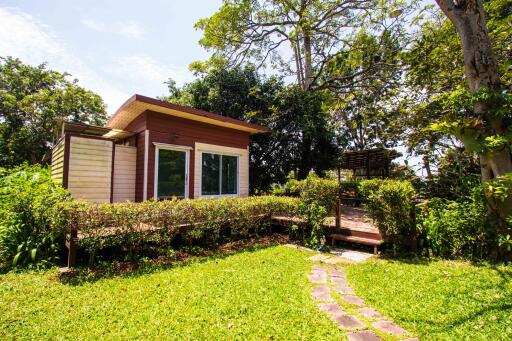 Exterior view of a small modern house with a garden