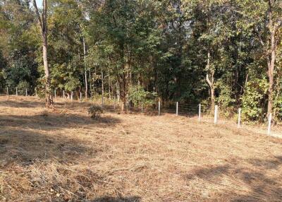 Land for sale 1 Rai 3 Ngan 80 Sqw at Mae Pong Doisaket Chiangmai