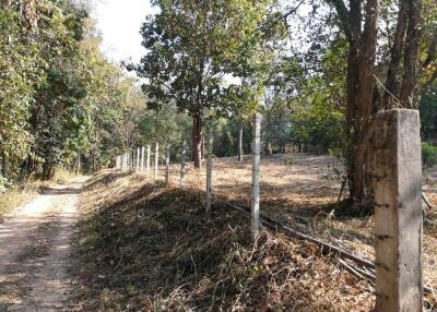 Land for sale 1 Rai 3 Ngan 80 Sqw at Mae Pong Doisaket Chiangmai