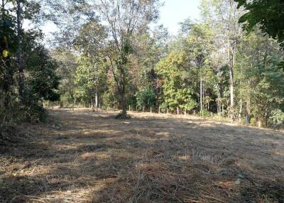 Land for sale 1 Rai 3 Ngan 80 Sqw at Mae Pong Doisaket Chiangmai